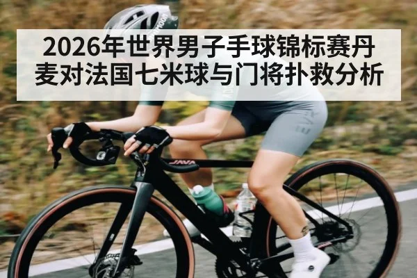 2026年世界男子手球锦标赛丹麦对法国七米球与门将扑救分析